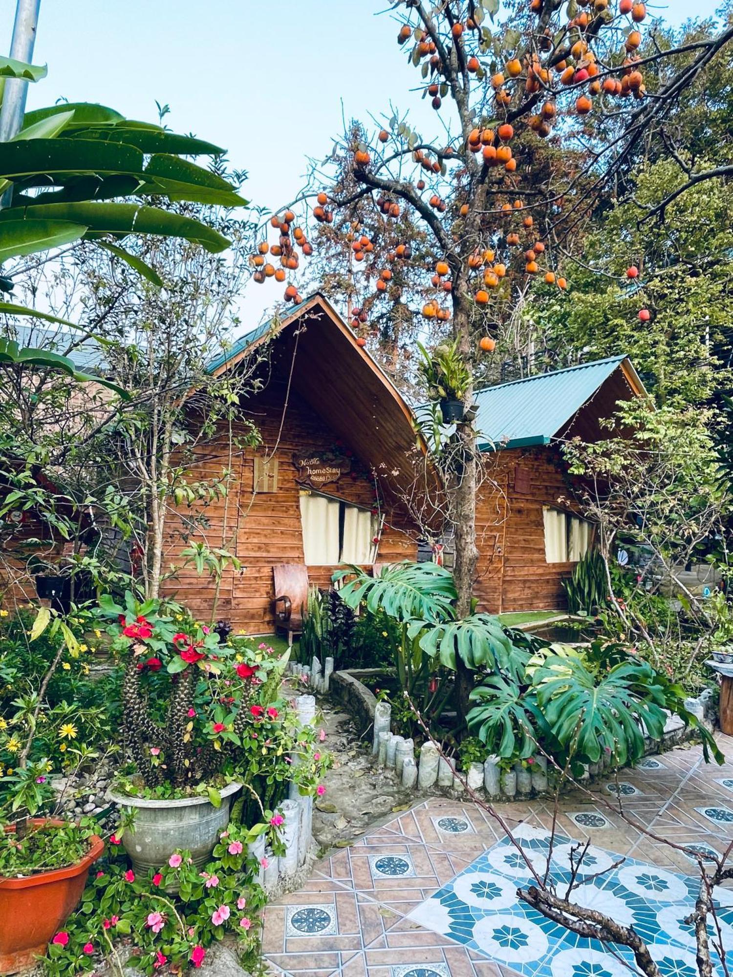 Nobita Homestay Bac Ha Dış mekan fotoğraf